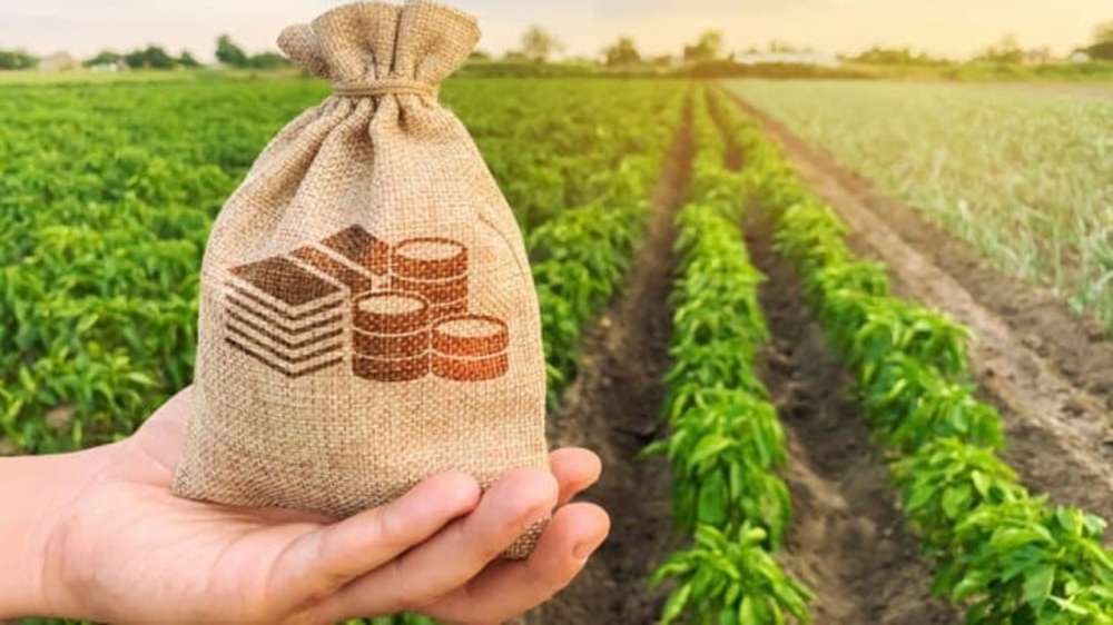 Agriculture in Jordan
