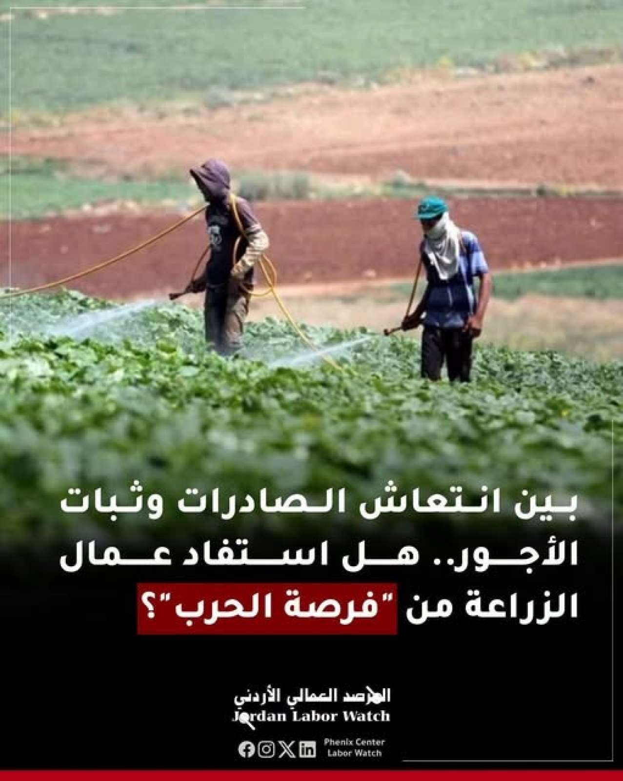 بين انتعاش الصادرات وثبات الأجور.. هل استفاد عمّال الزراعة من "فرصة الحرب"؟