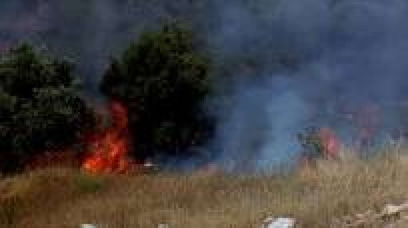 الف دونم من الليمون تضررت..اتحاد المزارعين : الحرائق مفتعلة  وتتكرر كل عام 